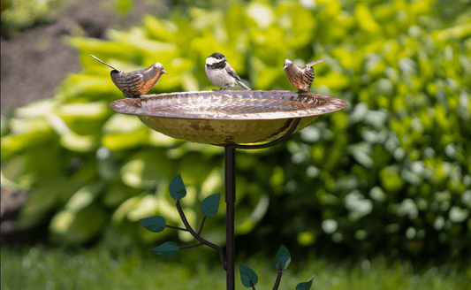Birdhouses, Feeders, and Baths: A Guide to Backyard Birding - Good Directions