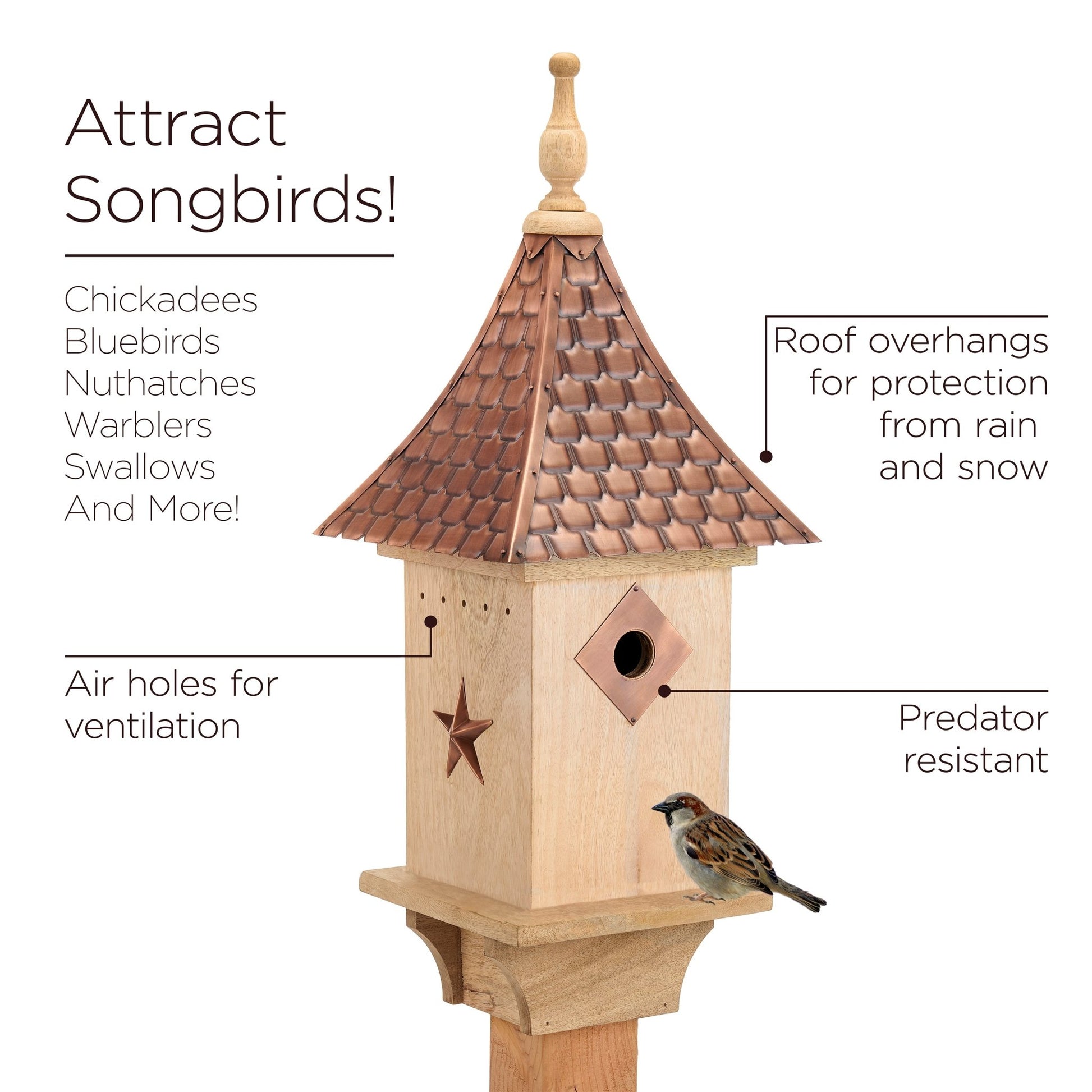 Villa Bird House -Roof - Good Directions