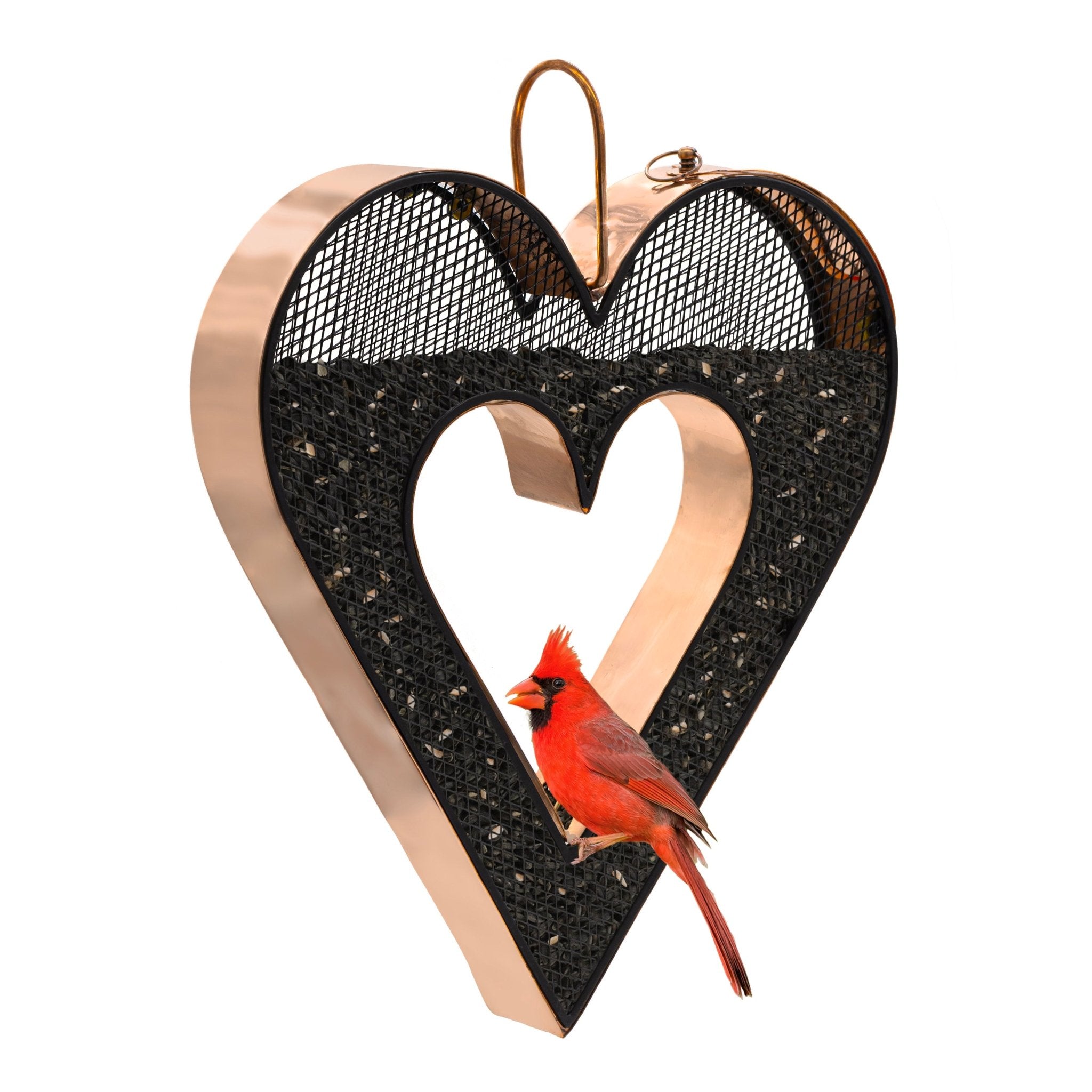 Be Still My Heart Fly Thru™ Heart - Shaped Copper Bird Feeder With Mesh Panels - Good Directions