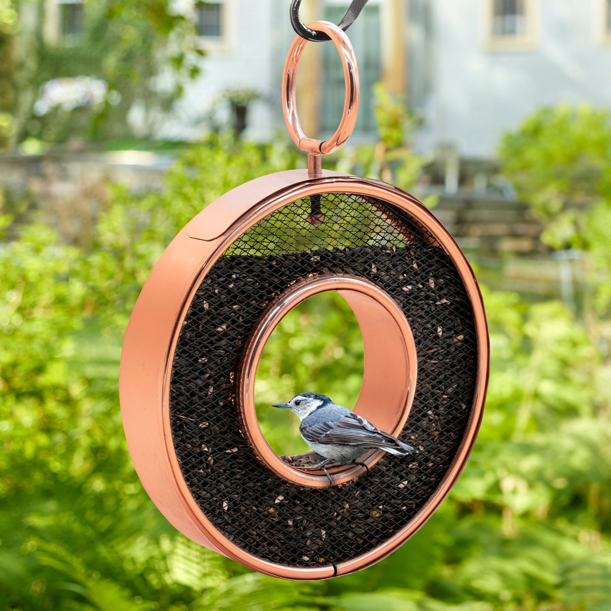 Copper Circle Fly - Thru Copper Bird Feeder with Mesh Panels - Good Directions