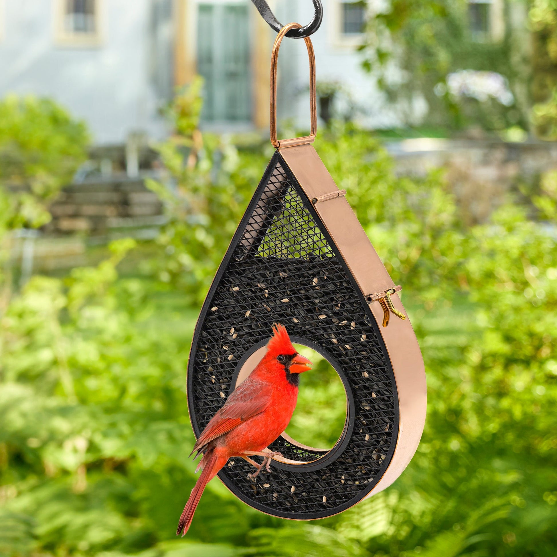 Rain Drop Fly - Thru Copper Bird Feeder Mesh Panels - Good Directions