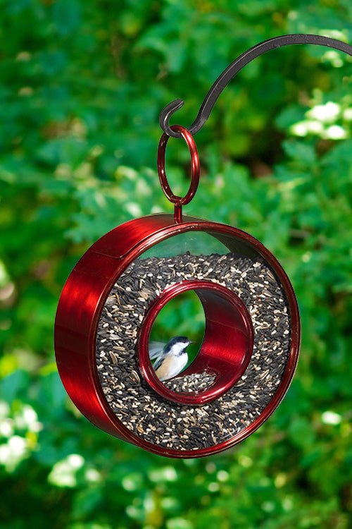 Just In Time Fly-Thru™ Ruby Red Bird Feeder - Good Directions
