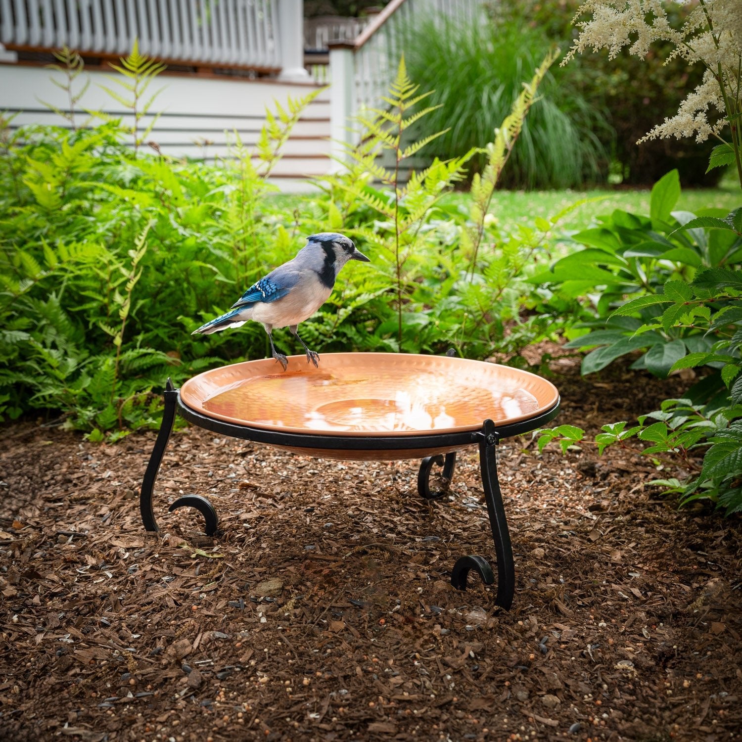 Freestanding Copper Birdbath - Good Directions