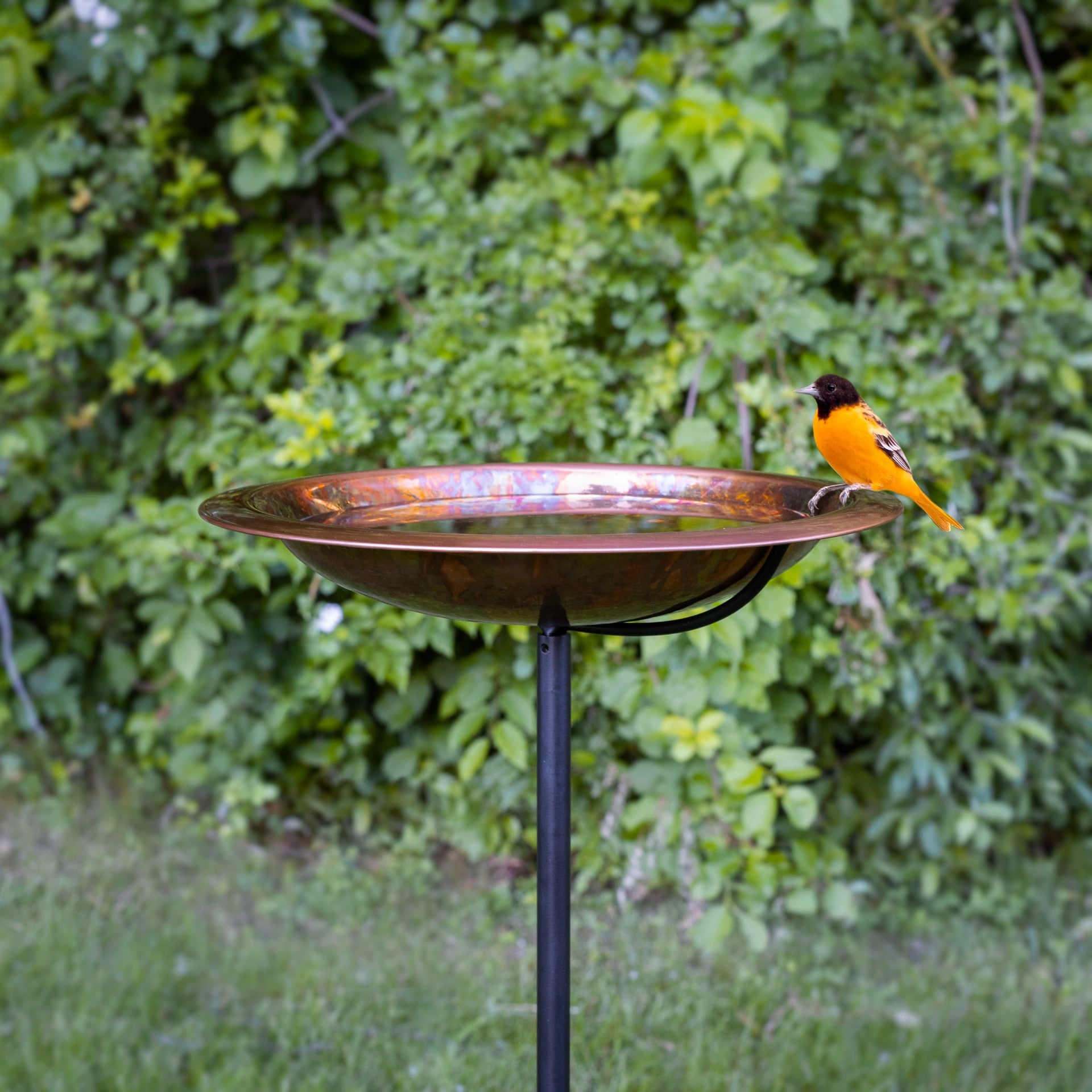 13.5” Fired Finish Birdbath with Garden Pole - Good Directions