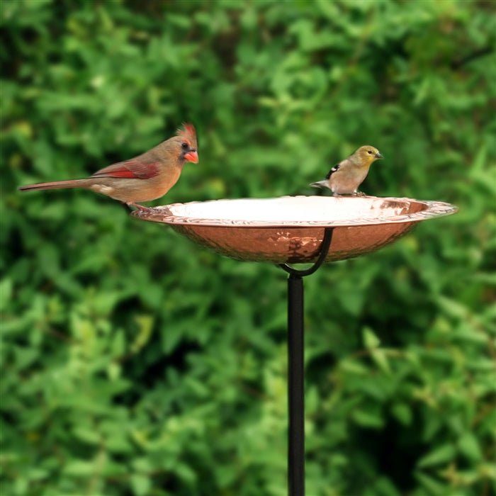 13.5” Birdbath with Garden Pole - Good Directions