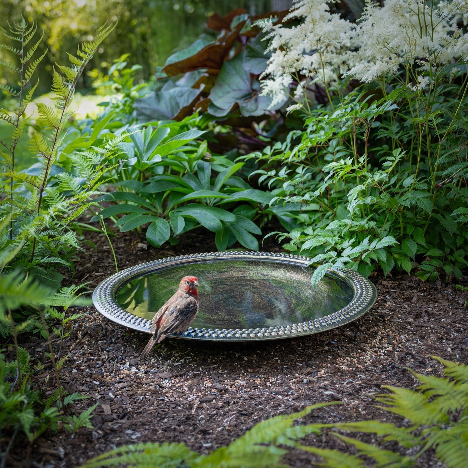 18" Beaded Copper Bird Bath Basin in Aged Brass Finish - Good Directions