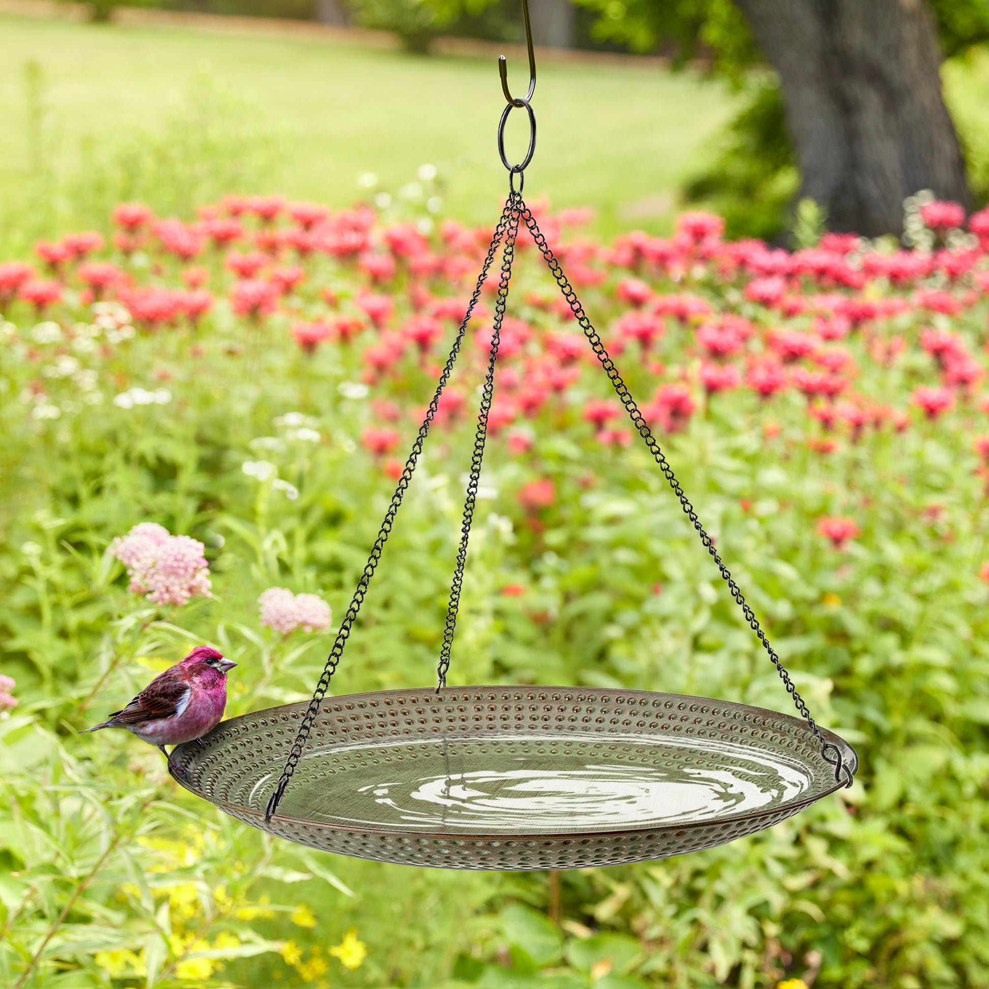 18" Hanging Blue Verde Copper Bird Bath - Good Directions