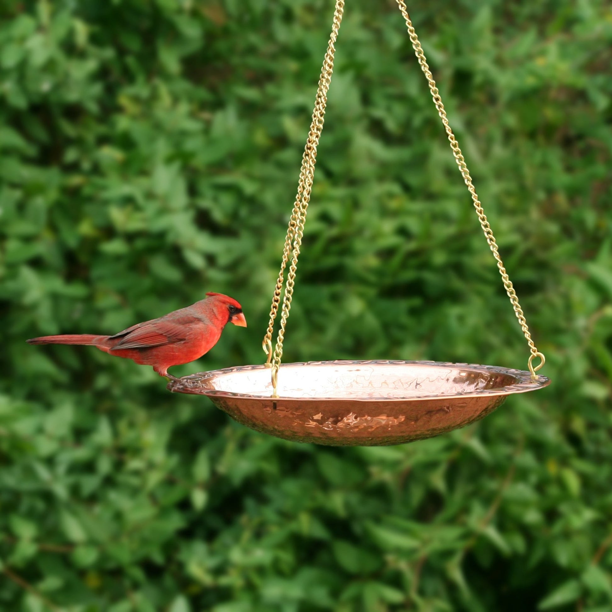 18" Hanging Pure Copper Bird Bath - Good Directions