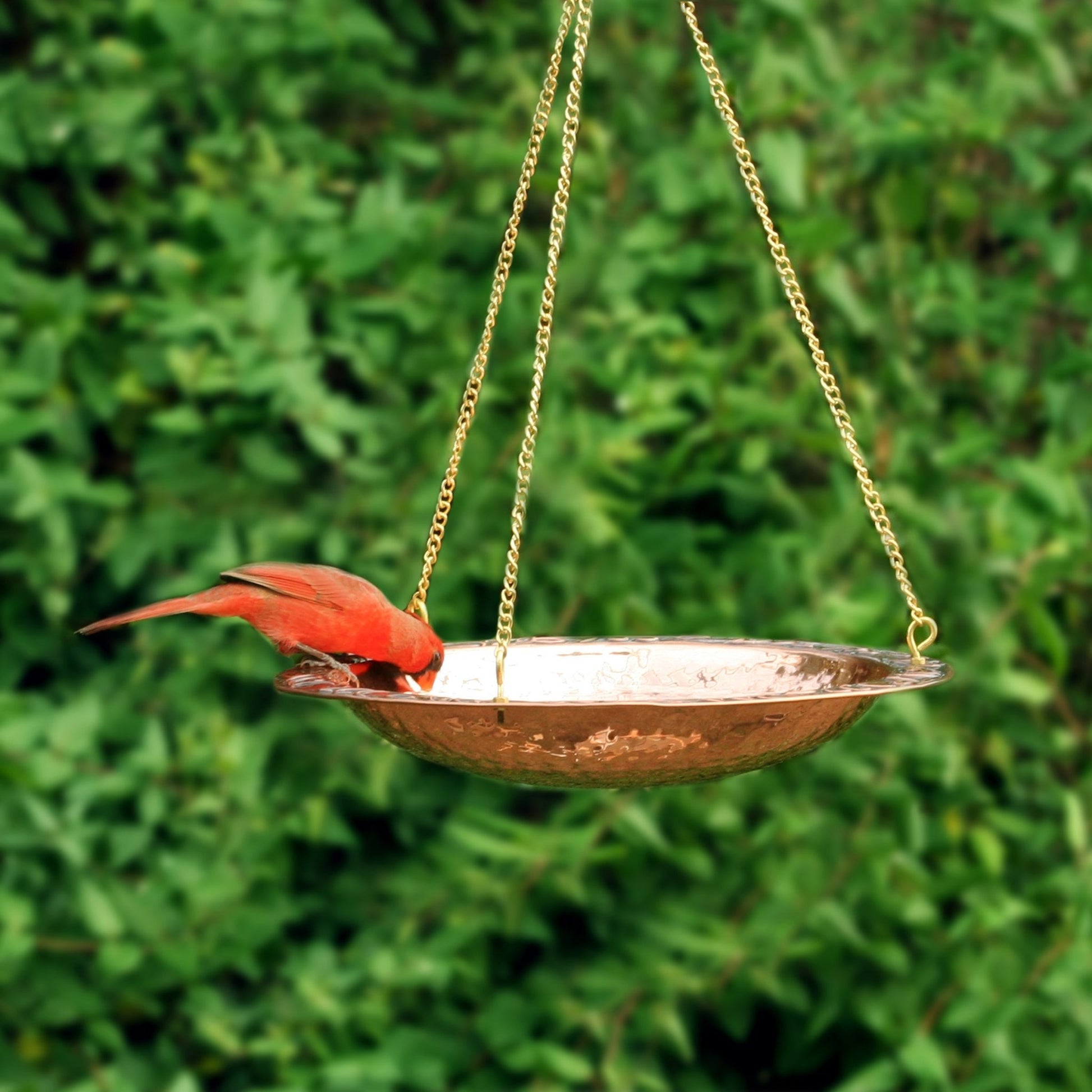 18" Hanging Pure Copper Bird Bath - Good Directions