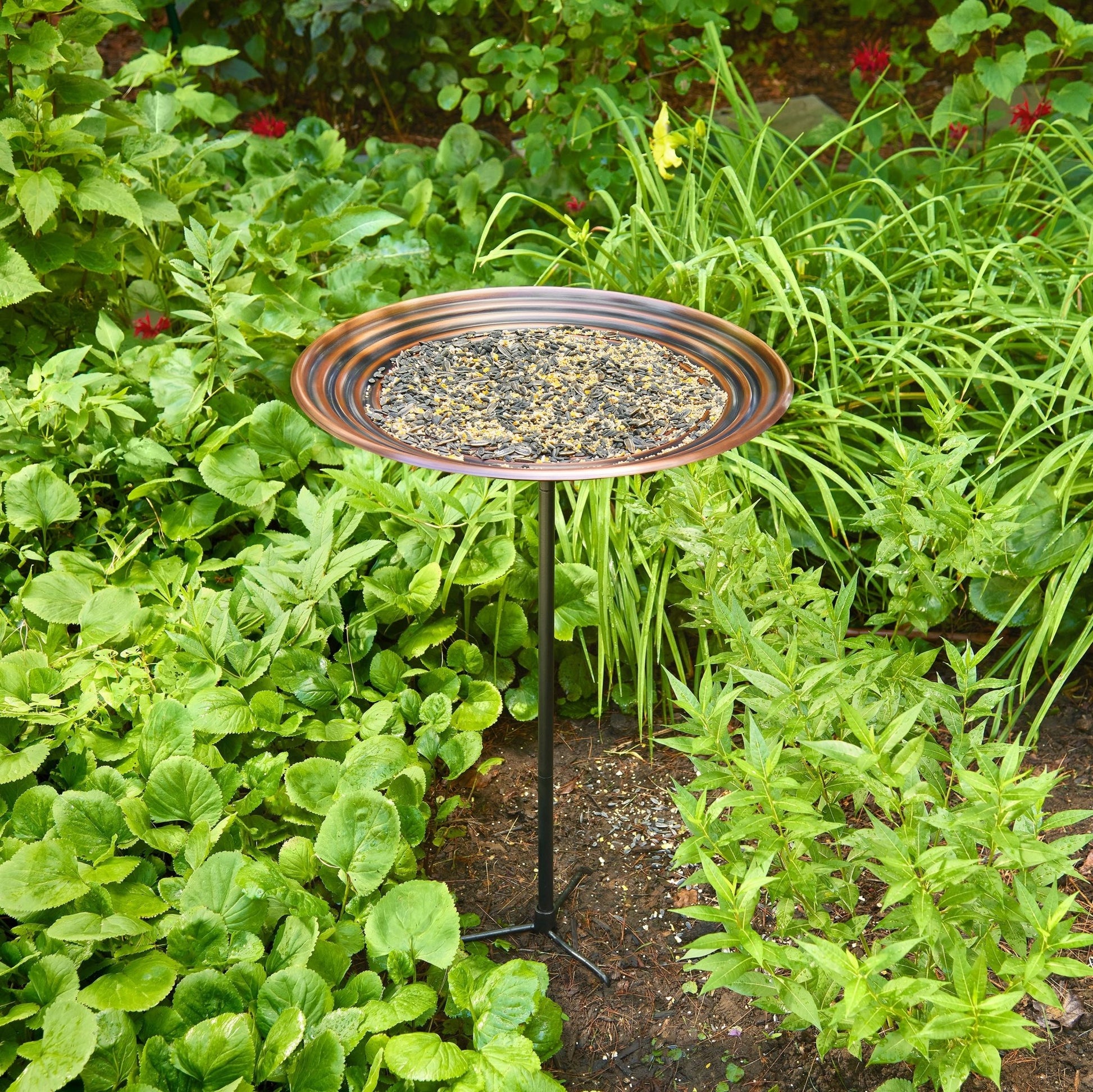 20" Bronze Finish Ripples Copper Bird Bath with Garden Pole - Good Directions