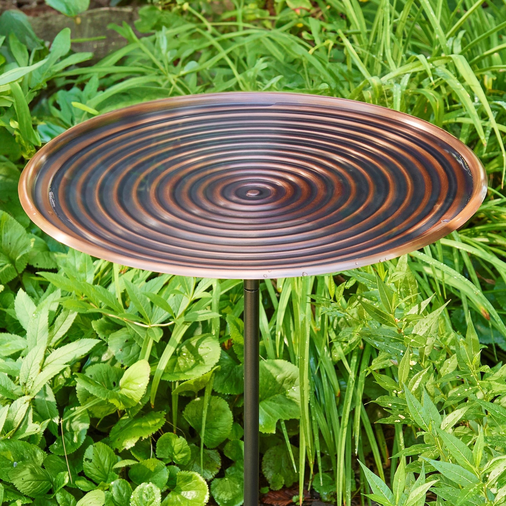 20" Bronze Finish Ripples Copper Bird Bath with Garden Pole - Good Directions