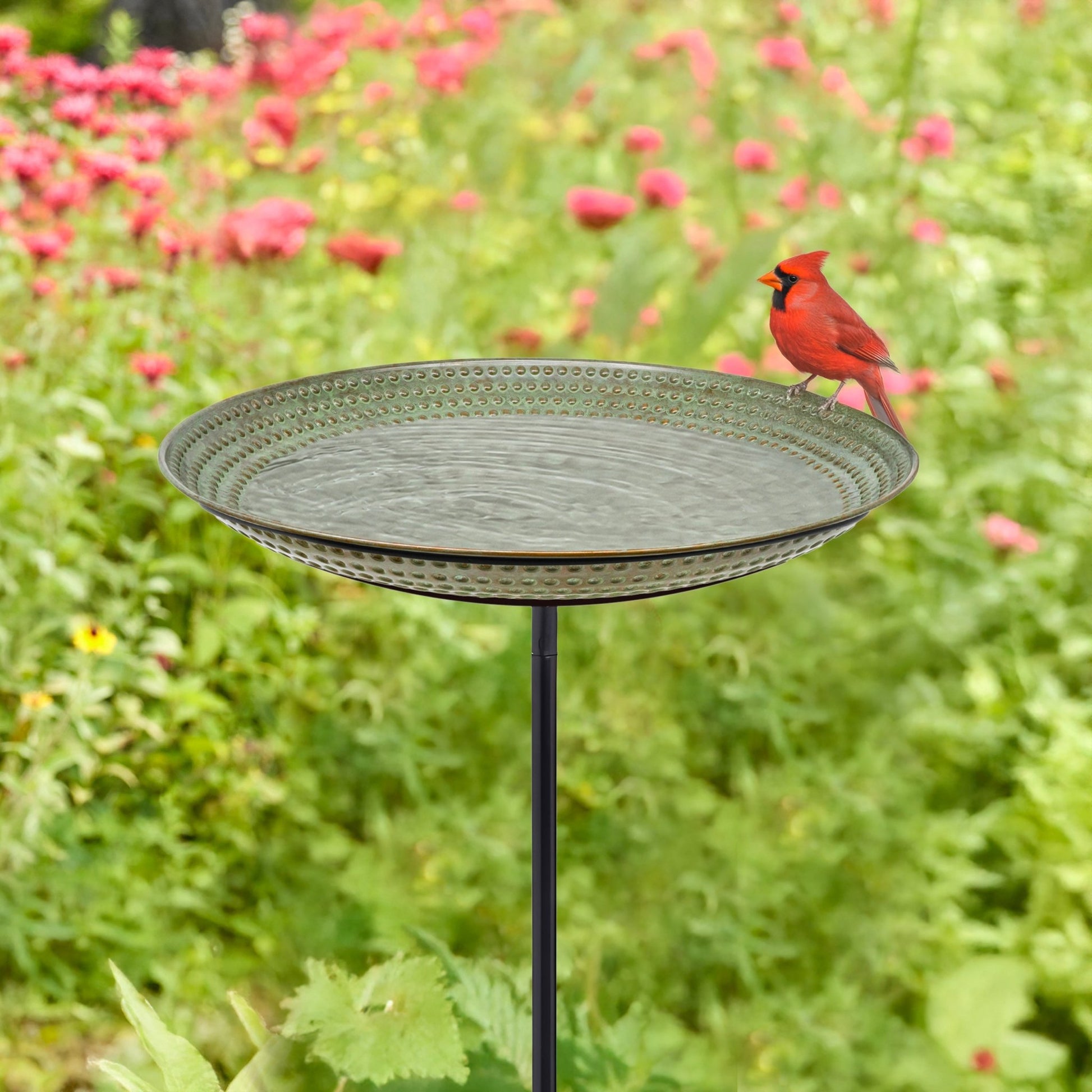 Beaded Copper Birdbath with Garden Pole, 18"D - Blue Verde Finish - Good Directions