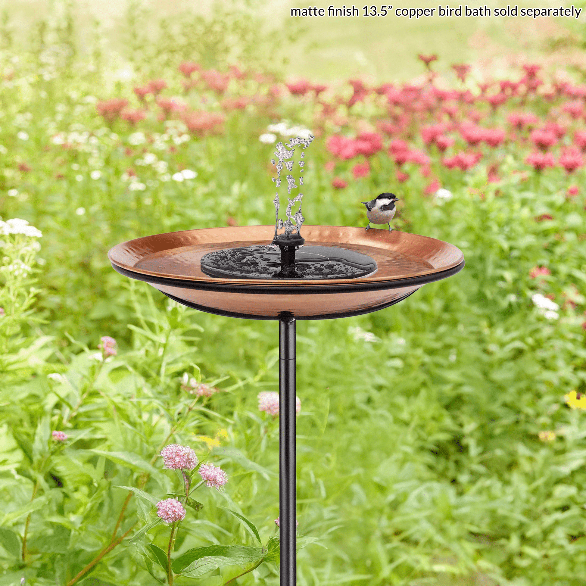 Bird Bath Fountain - Good Directions
