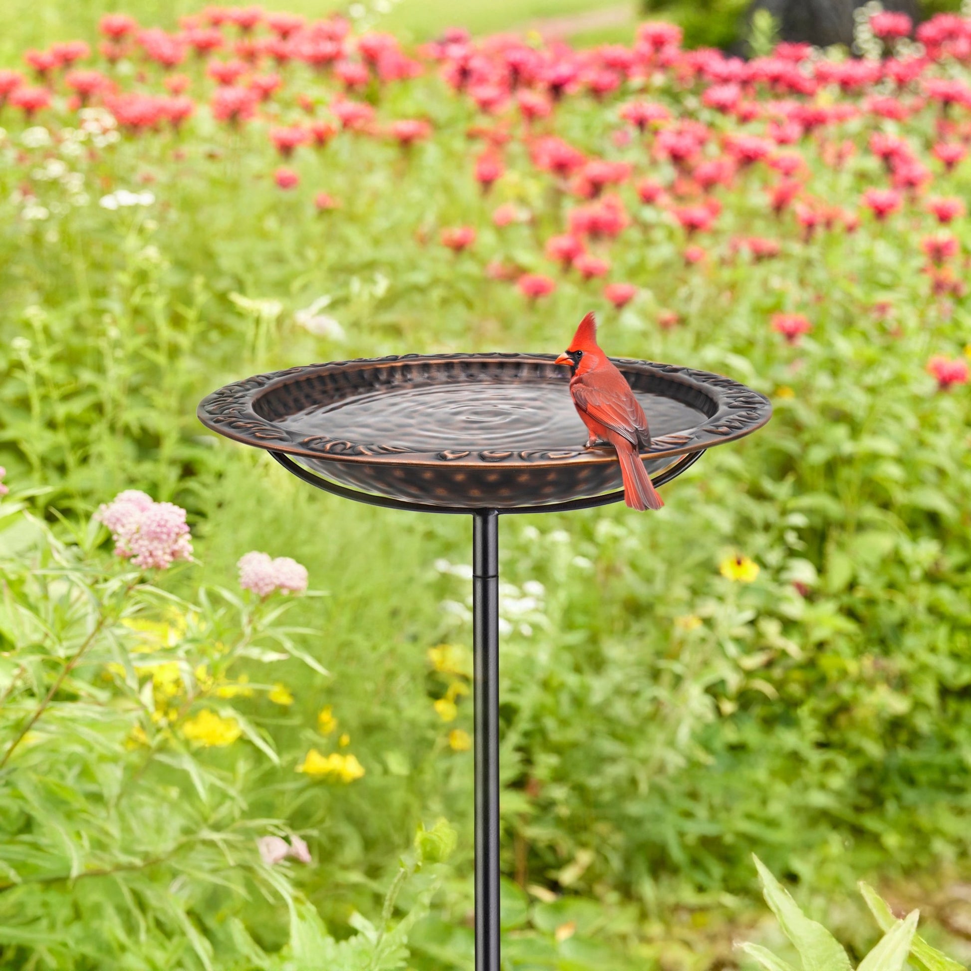 Copper Birdbath with Garden Pole, 13.5"D - Bronze Finish - Good Directions