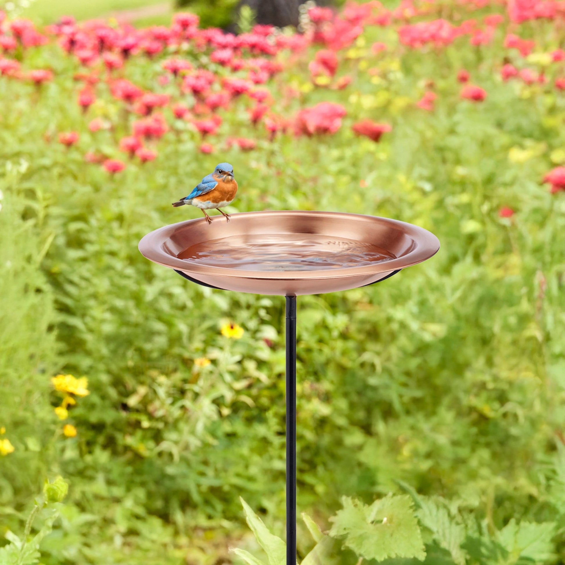 Copper Birdbath with Garden Pole, 18”D – Matte Finish - Good Directions