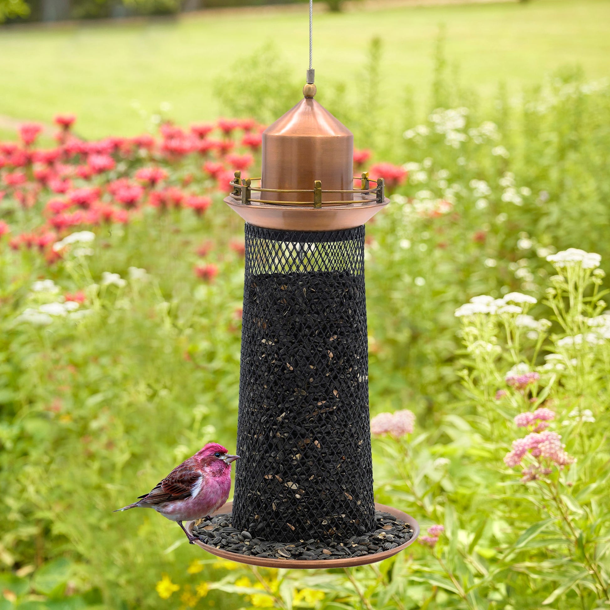 Copper Lighthouse Bird Feeder with Mesh Panels - Good Directions