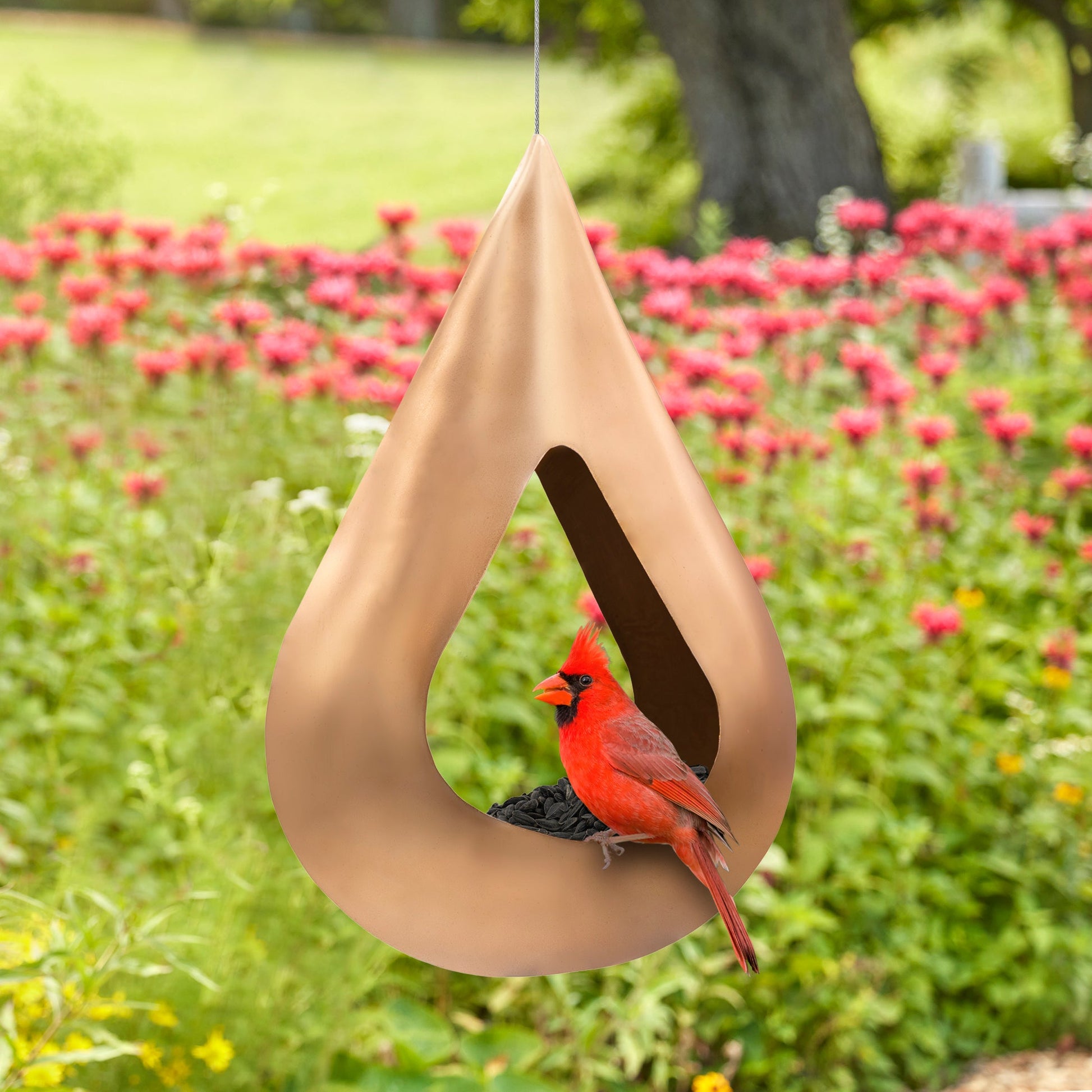 Copper Rain Drop Fly - Thru Bird Feeder - Good Directions