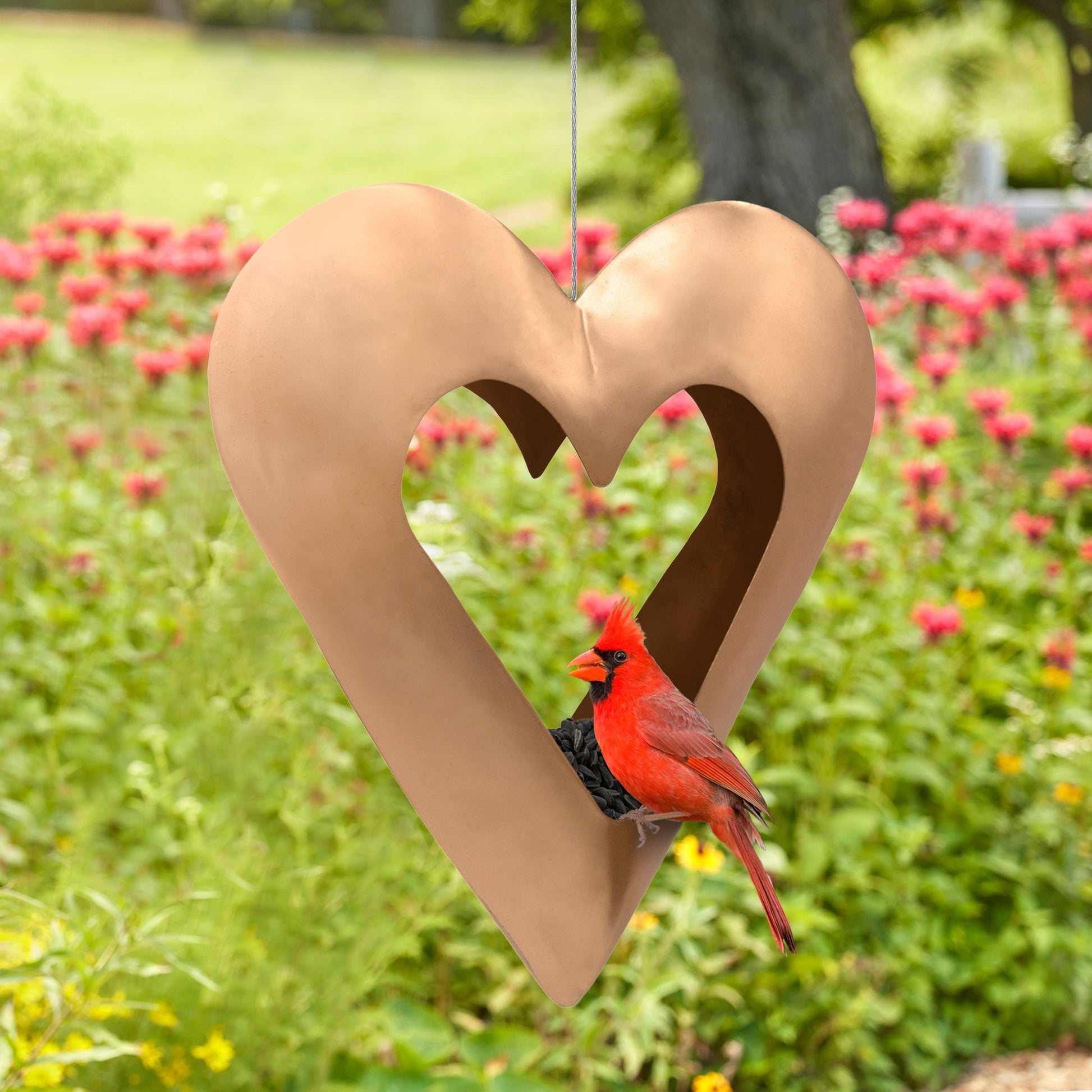 Fly Thru™ Copper Heart Bird Feeder - Good Directions