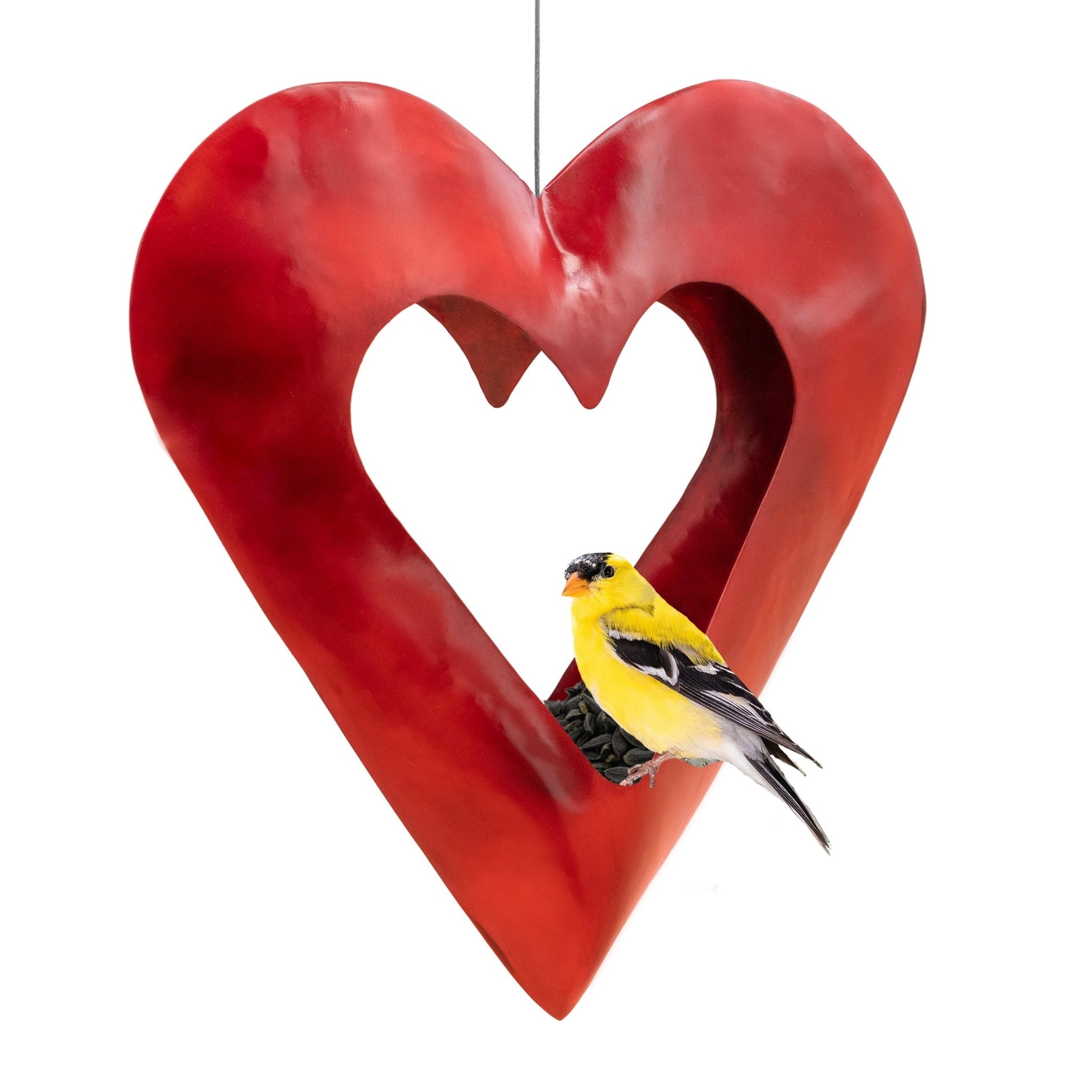 Fly Thru™ Red Heart Copper Bird Feeder - Good Directions