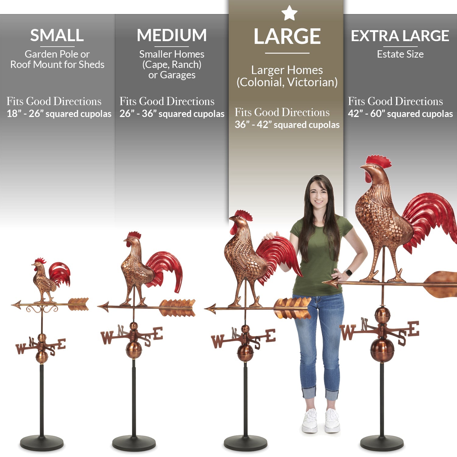 Smithsonian Eagle Weathervane - Good Directions