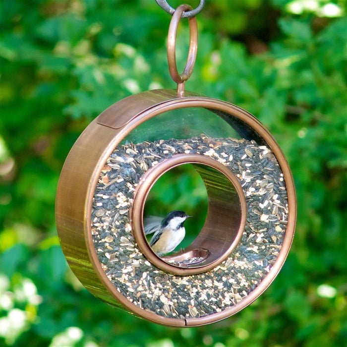 Just in Time Fly-Thru™ Copper Bird Feeder - Good Directions