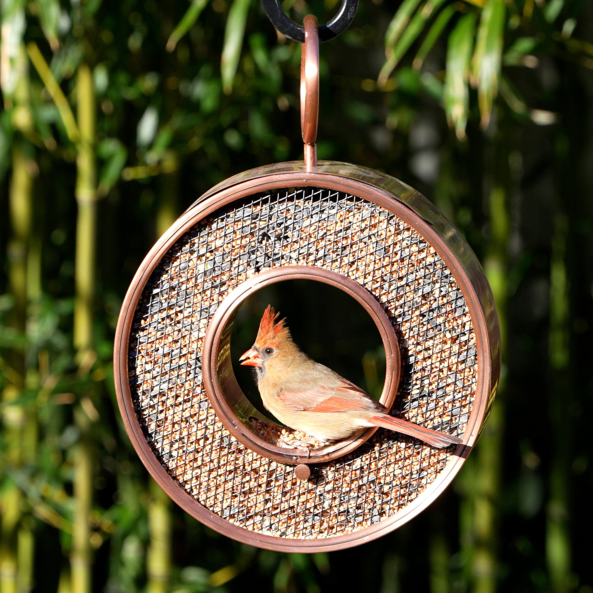 Just in Time Fly-Thru™ Copper Bird Feeder, Mesh Panels