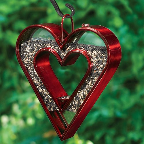 Be Still My Heart Fly Thru™ Heart-Shaped Ruby Red Bird Feeder - Good Directions