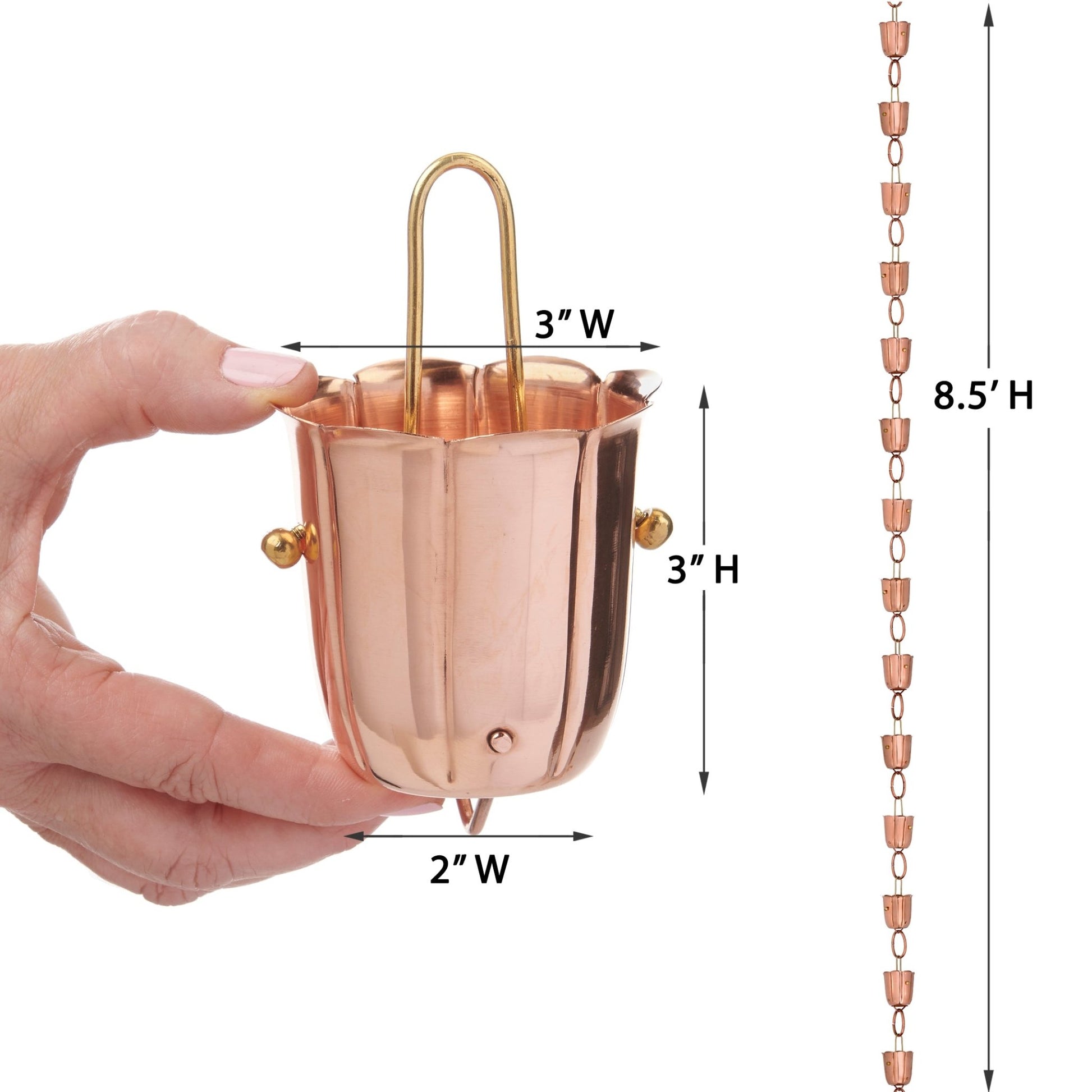 Bluebell Rain Chain - 8.5 ft., with 14 Large Cups - Good Directions
