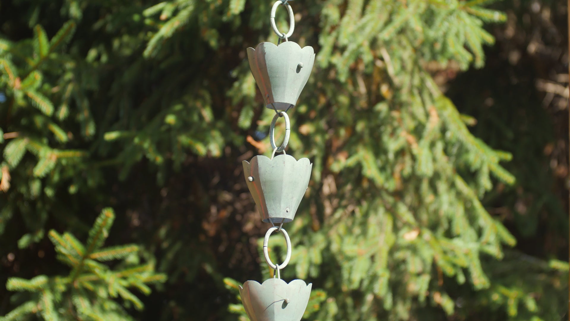 Tulip Rain Chain - 8.5 ft., with 13 Large Cups - Good Directions