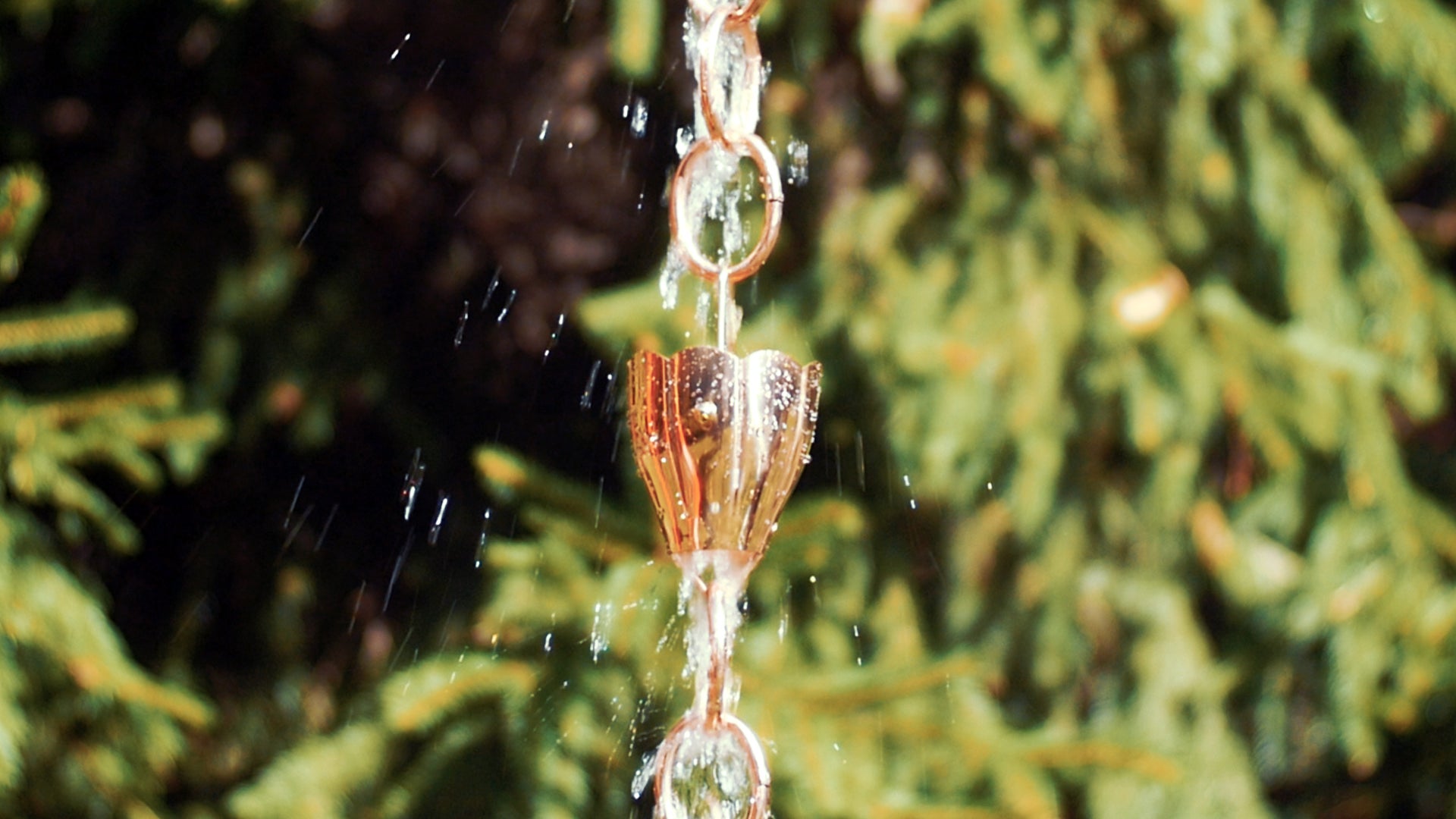 Crocus Rain Chain - 8.5 ft.,with 9 Large Cups - Good Directions