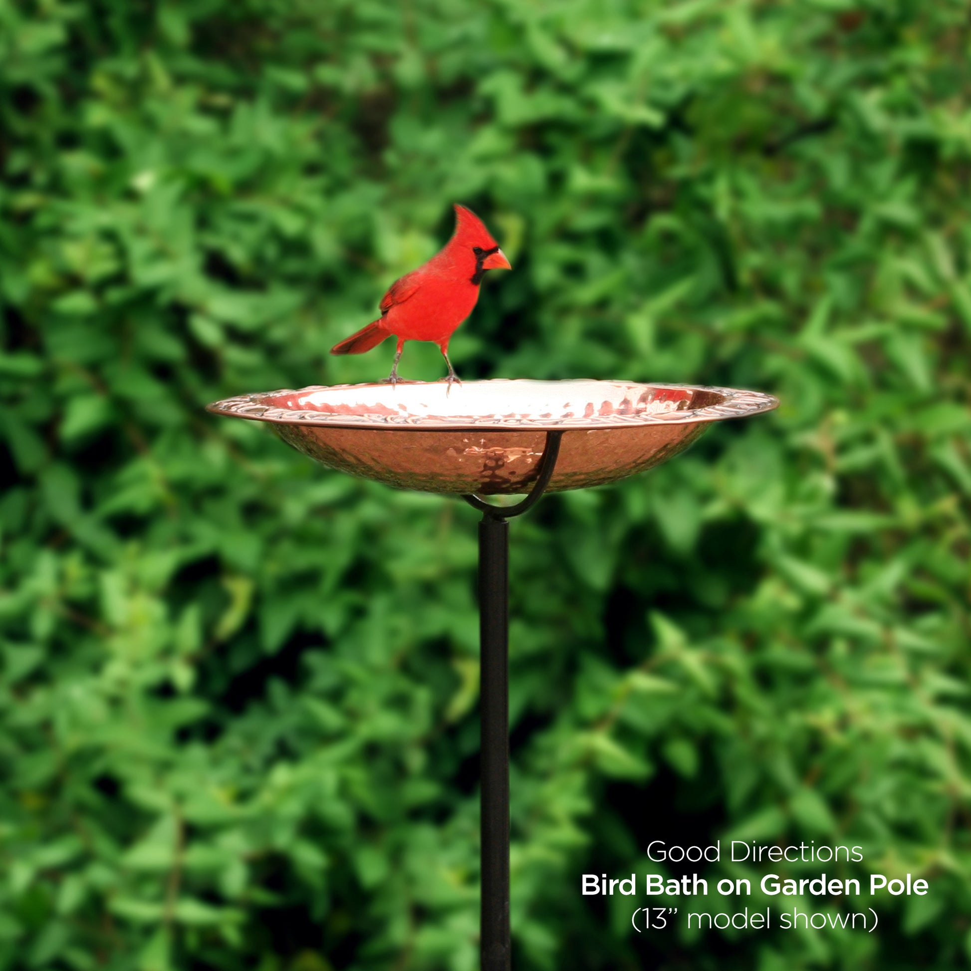 18” Birdbath with Garden Pole - Good Directions