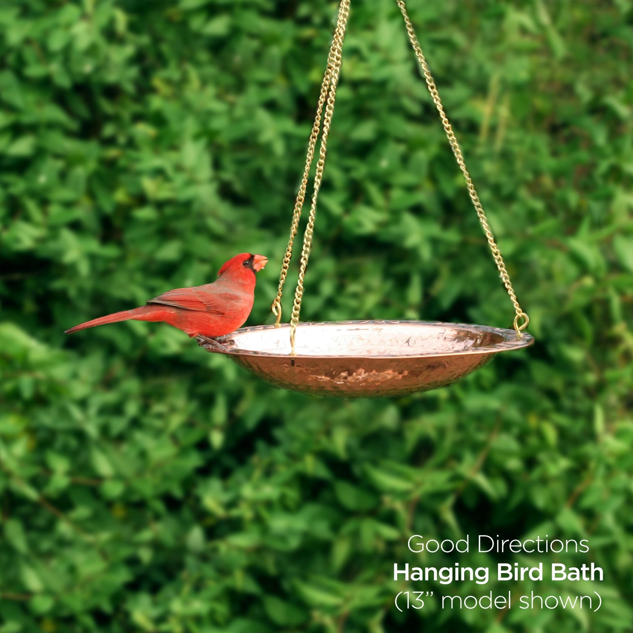 18" Hanging Bird Bath - Good Directions