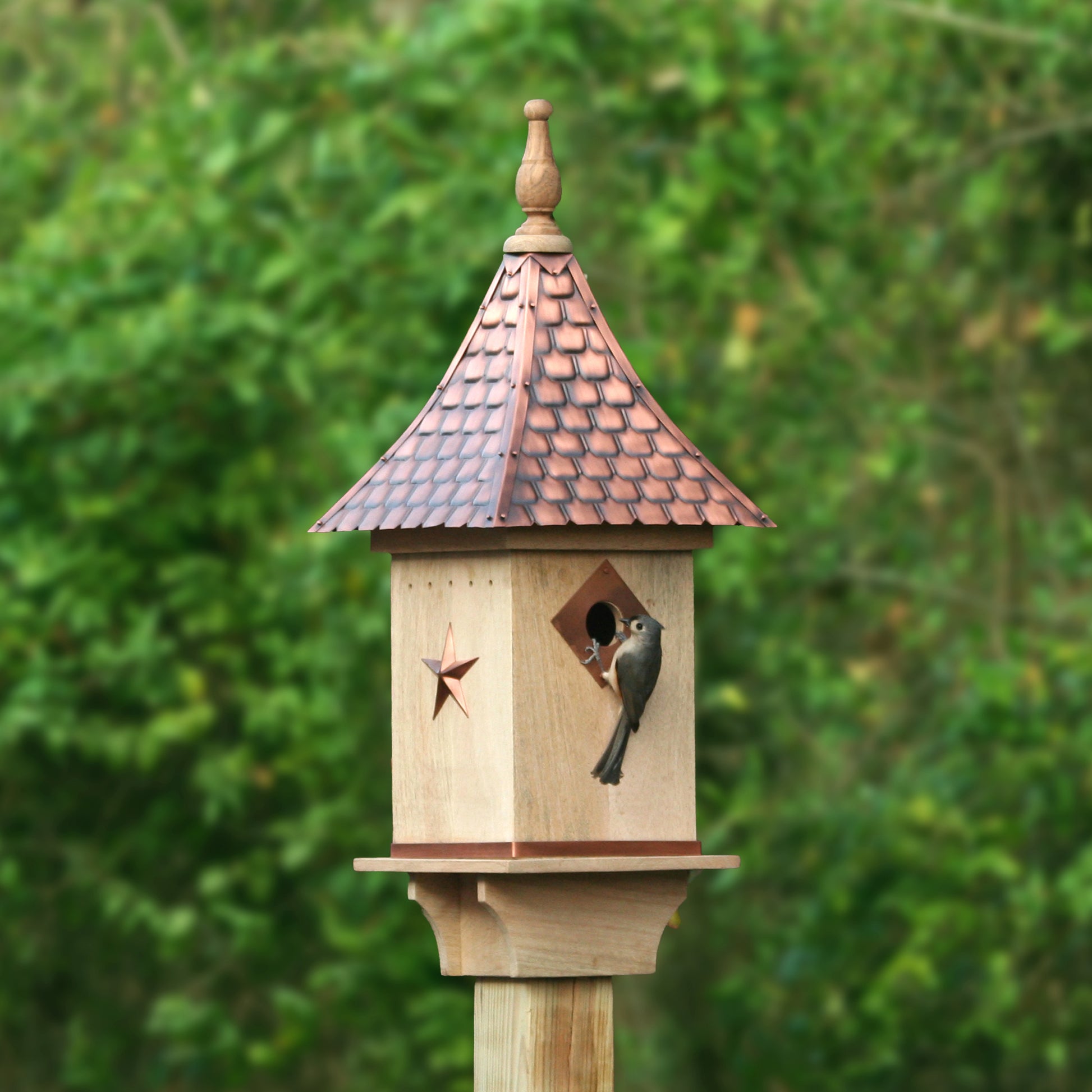 Villa Bird House -Roof - Good Directions